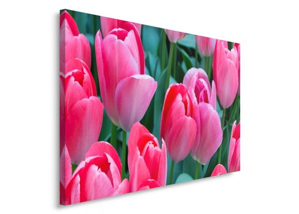 Настенная картина Pink tulips 40x50 см