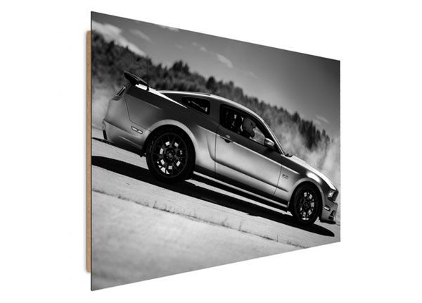 Настенная картина Sports car 4 30x40 см