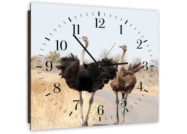 Настенные часы с картиной Two ostriches