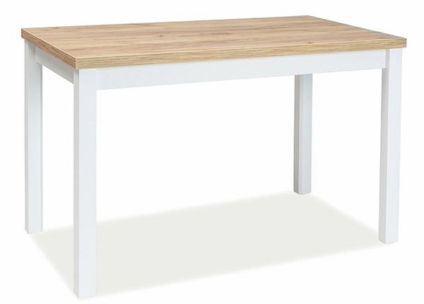 Обеденный стол Robert 100x60 cm