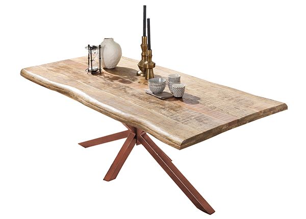 Обеденный стол Tische 100x220 cm