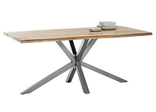 Обеденный стол Tische 100x240 см