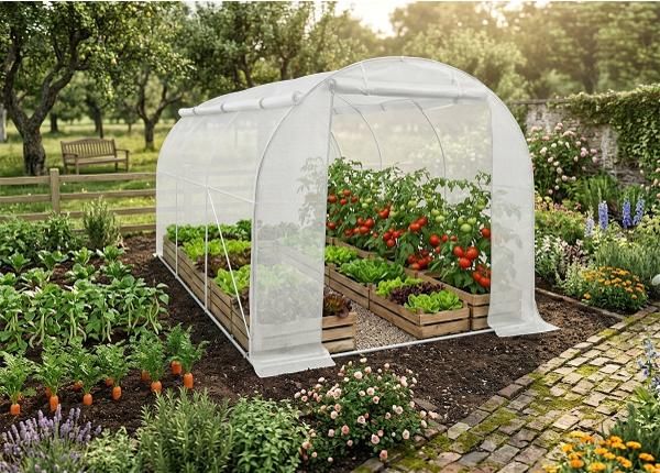 Плёночная теплица 6 м²
