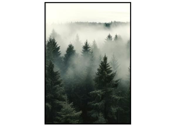 Постер Туманный лес I 30x40 см