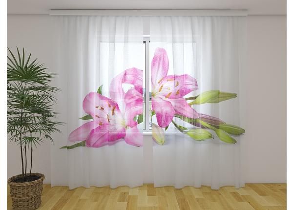 Просвечивающая фотоштора Big Pink Lilies 240x220 см