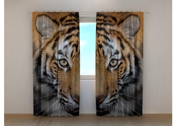 Просвечивающая фотоштора Siberian Tiger 240x220 см