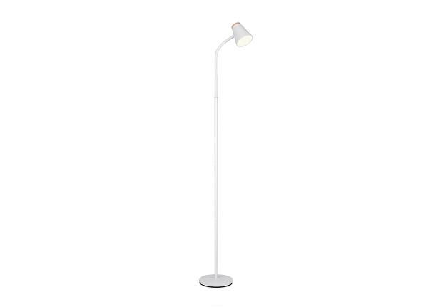 Торшер Aden LED