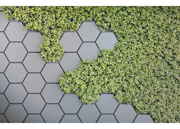 Флизелиновые фотообои 3D Green Vertical Garden 368x254 см