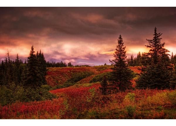 Флизелиновые фотообои Alaska Sunset