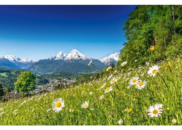 Флизелиновые фотообои Alpine Landscape