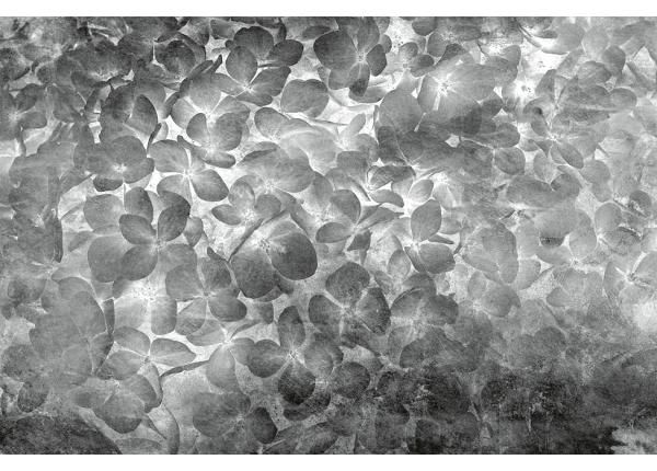 Флизелиновые фотообои Apple Tree Abstract II 150x250 см