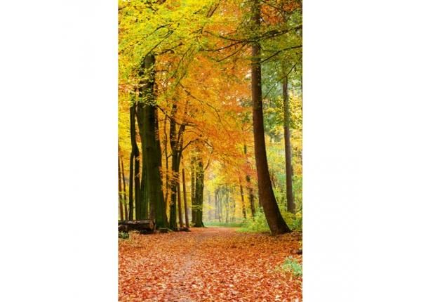 Флизелиновые фотообои Autumn forest 150x250 см