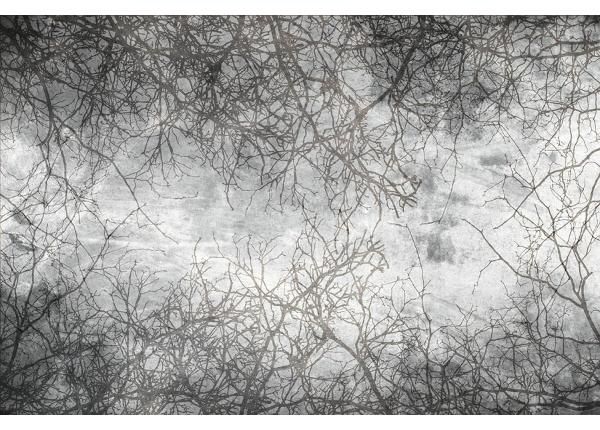Флизелиновые фотообои Branch Abstract 150x250 см