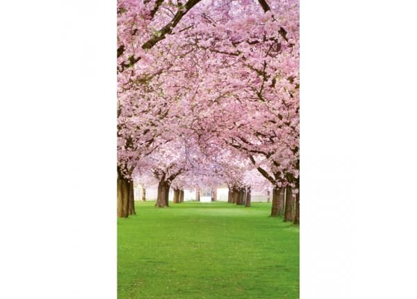 Флизелиновые фотообои Cherry trees 150x250 см