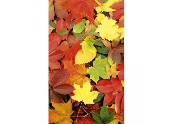 Флизелиновые фотообои Colourful leaves 150x250 см