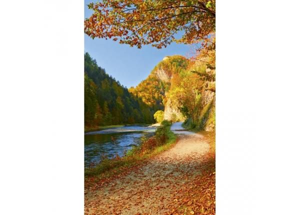Флизелиновые фотообои Dunajec river 150x250 см