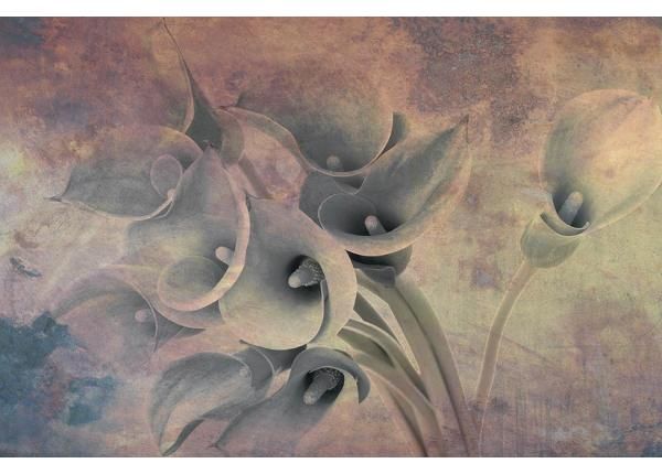 Флизелиновые фотообои Flower Abstract I 150x250 см