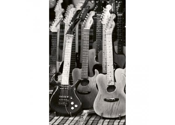 Флизелиновые фотообои Guitars collection 150x250 см