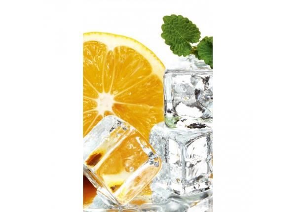 Флизелиновые фотообои Lemon and ice 150x250 см