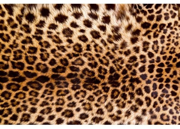 Флизелиновые фотообои Leopard skin 150x250 см