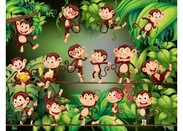 Флизелиновые фотообои Monkeys