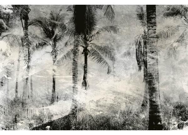 Флизелиновые фотообои Palm Trees Abstract 225x250 см