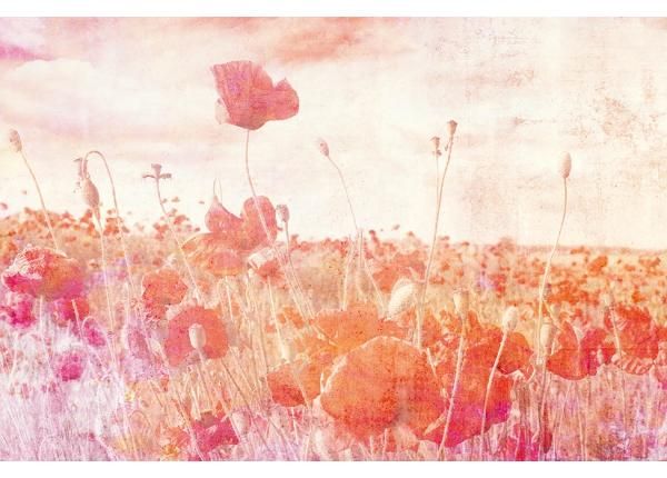 Флизелиновые фотообои Poppies Abstract 150x250 см