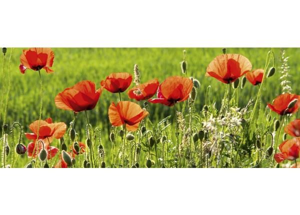 Флизелиновые фотообои Poppy field 375x150 см