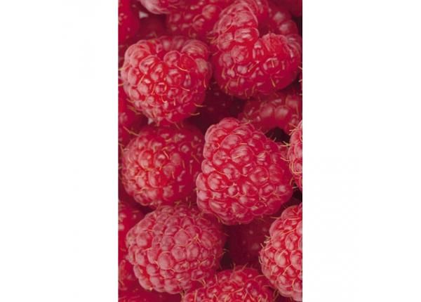Флизелиновые фотообои Raspberry 150x250 см