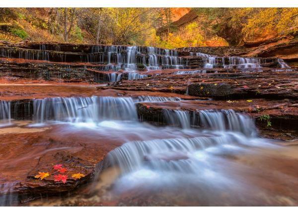 Флизелиновые фотообои Red Waterfalls