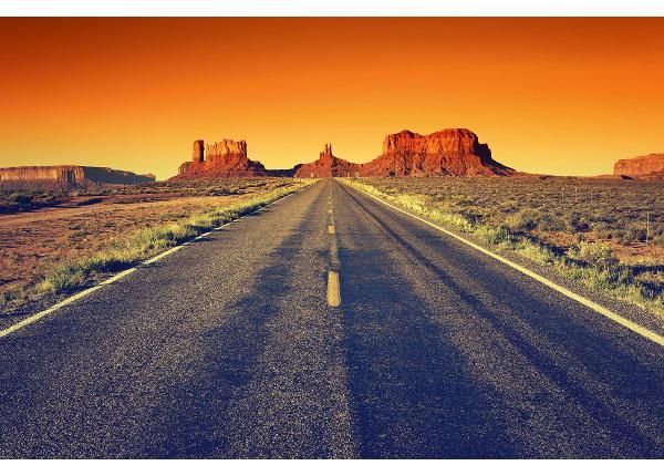 Флизелиновые фотообои Road To Monument Valley