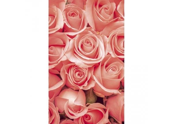 Флизелиновые фотообои Roses 150x250 см