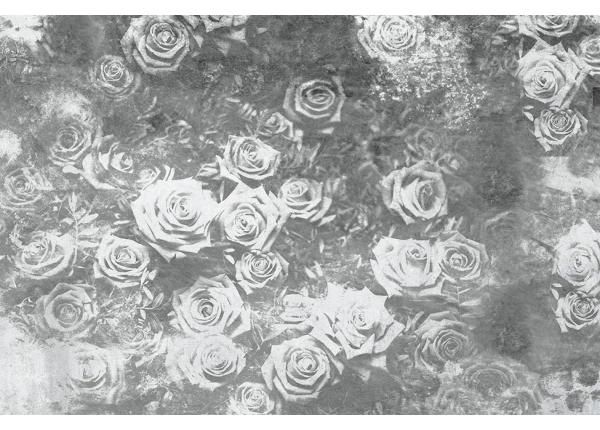 Флизелиновые фотообои Roses Abstract II 150x250 см