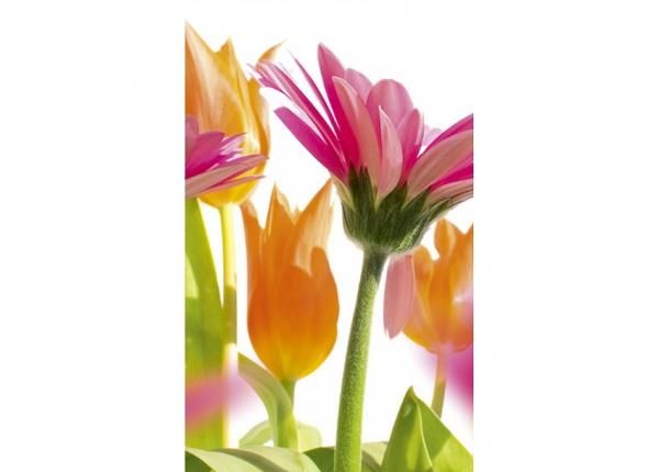 Флизелиновые фотообои Spring flowers 150x250 см