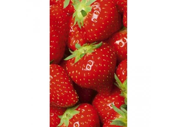Флизелиновые фотообои Strawberry 150x250 см