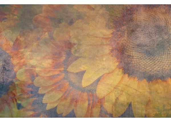 Флизелиновые фотообои Sunflower Abstract 150x250 см