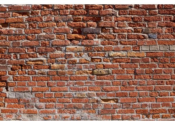 Флизелиновые фотообои Texture Of An Old Brick Wall