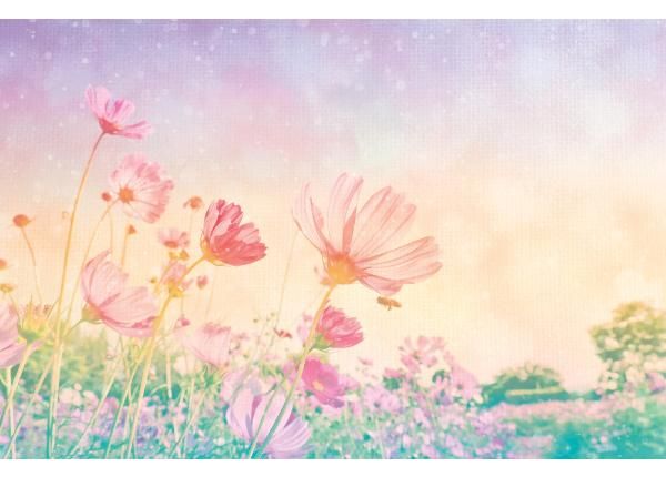 Флизелиновые фотообои Vintage Pastel Flowers