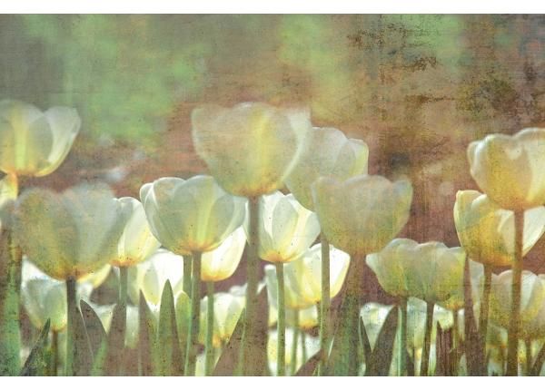 Флизелиновые фотообои White Tulips Abstract 150x250 см