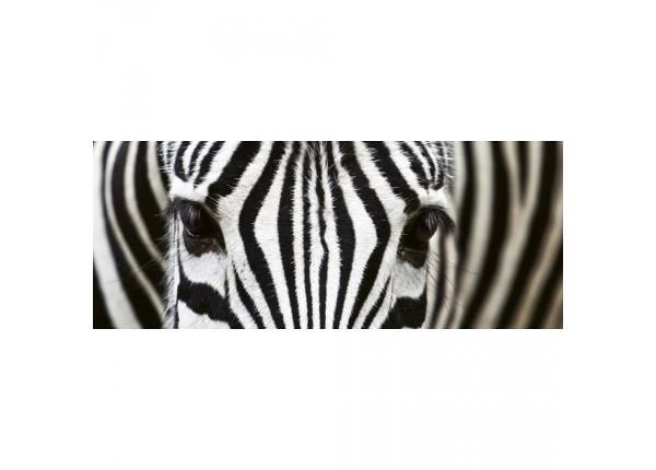 Флизелиновые фотообои Zebra 375x150 см
