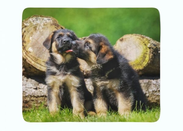 Флисовый плед Cute German Shepherd Puppies 150x200 см