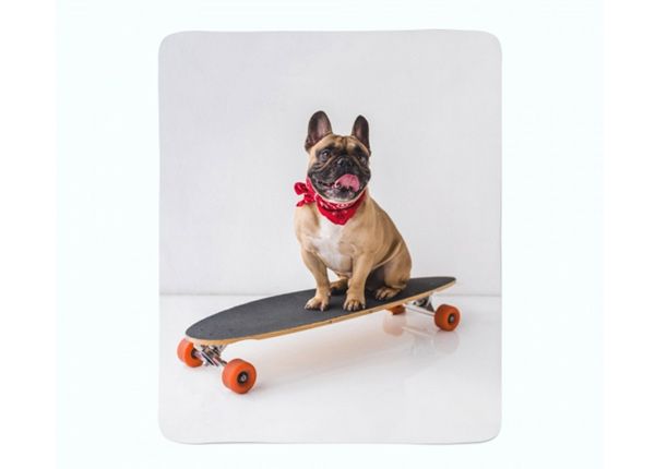 Флисовый плед French Bulldog on Skateboard 150x200 см