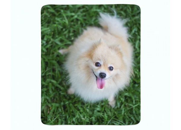 Флисовый плед Happy Pomeranian Dog 130x150 см