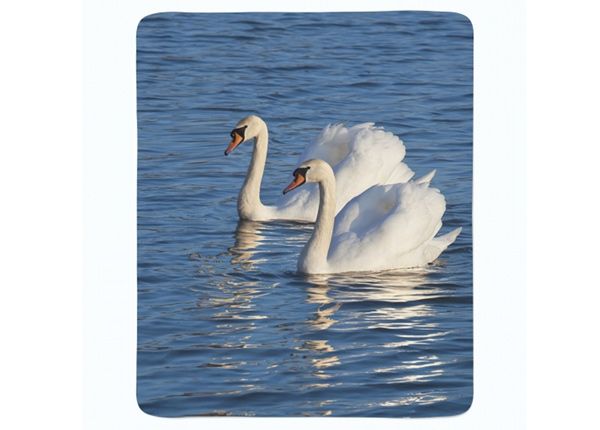 Флисовый плед White Swans 130x150 см