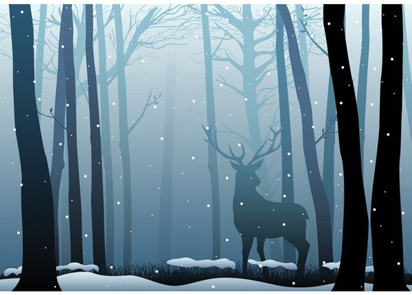 Фотообои Deer in the dark wood 365x254 см