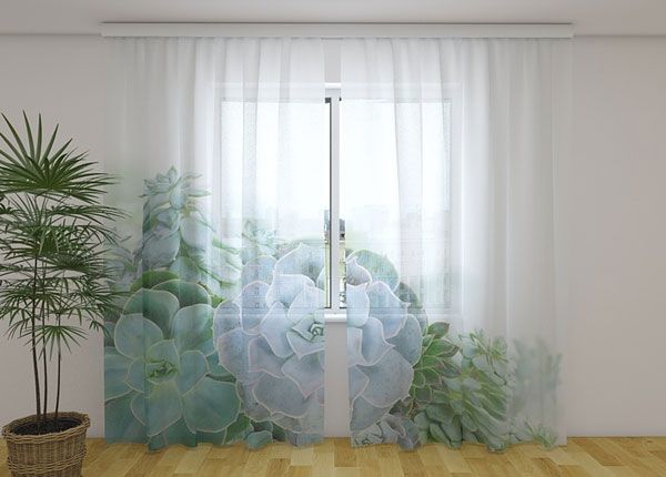 Шифоновая фотоштора Green Succulent Plants 240x220 cm