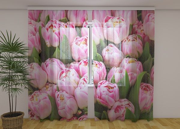 Шифоновая фотоштора Marvelous tulips 240x220 cm
