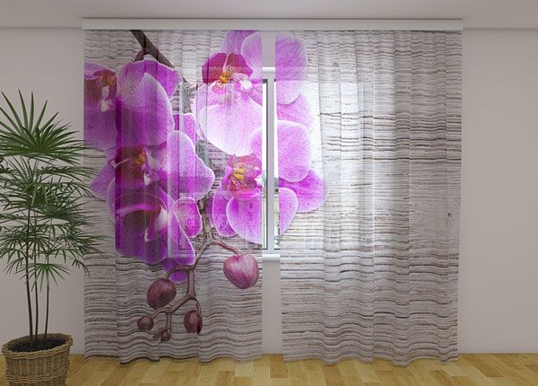 Шифоновая фотоштора Orchids and tree 2, 240x220 cm