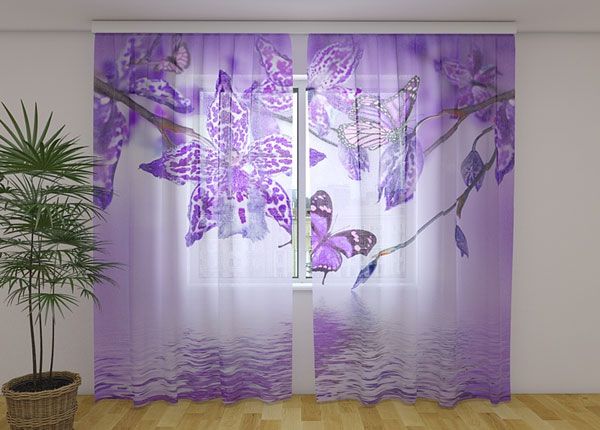 Шифоновая фотоштора Violet Orchid 240x220 cm
