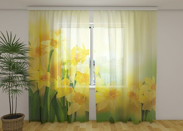 Шифоновая фотоштора Yellow daffodils 2, 240x220 cm